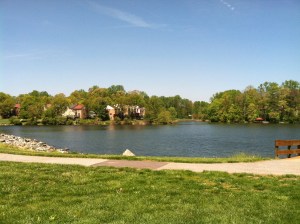 This is a glorious lake - a two mile walk round here in perfect temperatures!