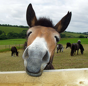 Watch me get physical!