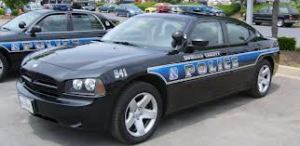 I want to hang with the HoCoPoPo