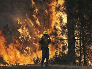 (Photo: Jae C. Hong, AP)