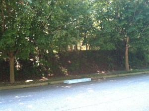 The offending mattress