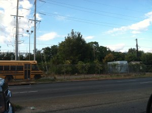 Some areas seem untouched by regeneration