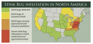 It's an East Coast invasion!