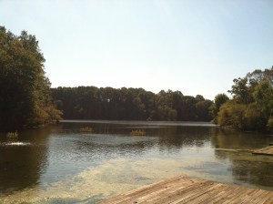 Not bad for a man-made lake!