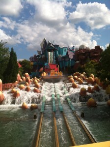 The bloomin' log flume