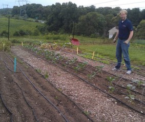 Dig me up a few carrots whilst you're there please Tom :)