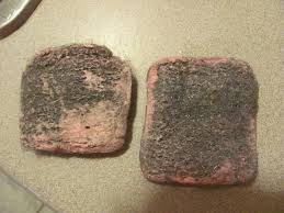 These are also Brillo-pads, but I don't mean them....