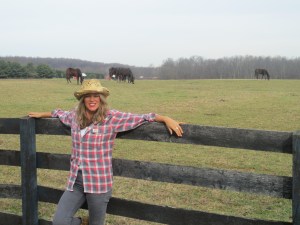 The loveliest field of horses that I see on my route to work. Look at me, I'm practically proper country!