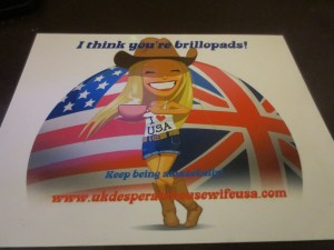 I did have to explain to a few people what 'brillopads' and 'amazeballs' meant... ;)