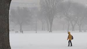 The snow is driving me craaaazy!