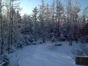 A Canadian winter's day.