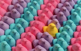 These are Peeps ;)