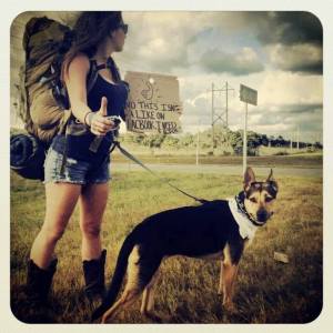 Hitchin' a ride with Zig