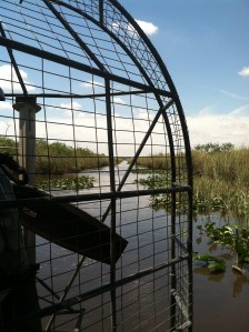 Was 'Gentle Ben' filmed here, I asked :)