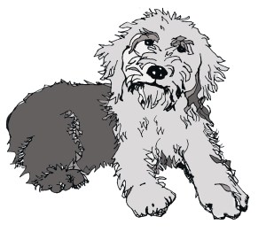 Gumdrop Rally, the hero