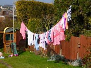 A very British back garden look