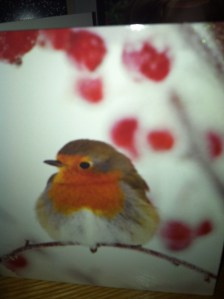 Little Robin Redbreast :)
