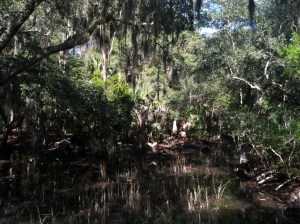 Wormsloe plantation