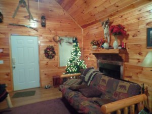 I don't have a picture of the toilet flush, but here is a picture of our cabin, in which the toilet flush resided.