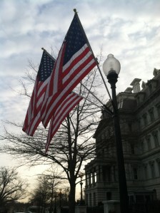 USA flags flying high