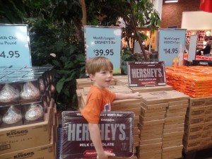 SAMSUNG CAMERA PICTURES